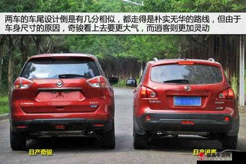 爱看日产 SUV 的网友推荐：新奇骏 VS 逍客，你更爱谁