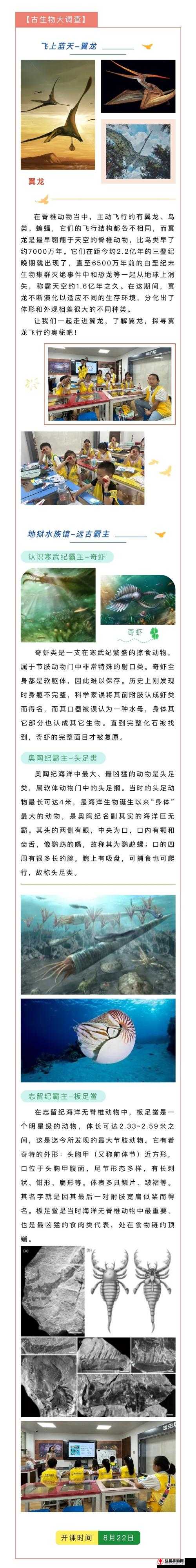 jx每日 11：00 精彩呈现，带你探索不一样的知识世界