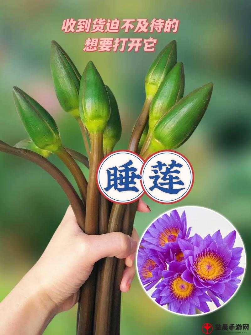 女性半夜莲花开放的治疗方法：探索与实践