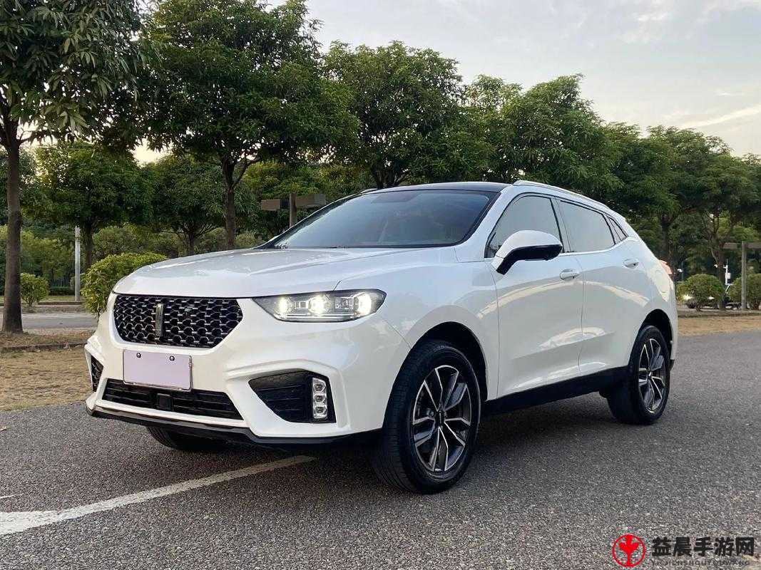 WEY VV5 国产的 SUV 视频：畅享极致驾乘体验