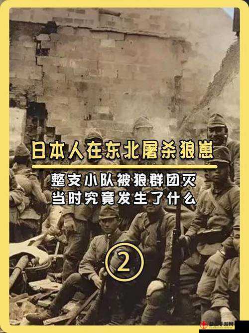 狼群社区：安卓免费观看日本视频的好去处