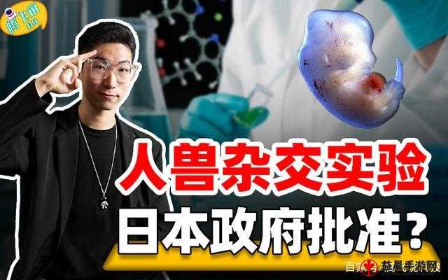 了解杂交 BUCSM 人类 SSBA 被爆料完全免费：震惊