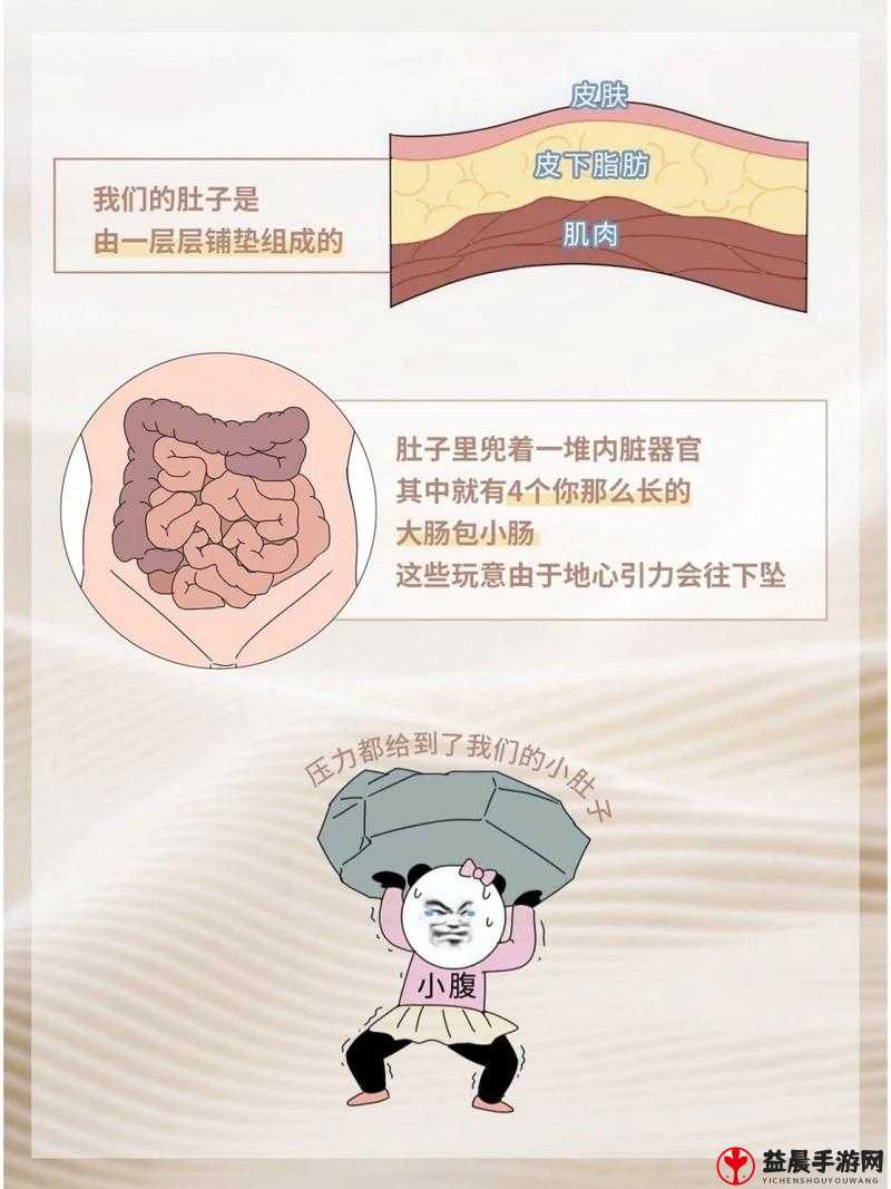 小肚子灌得鼓鼓的：探秘其背后原因