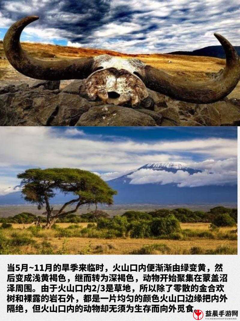 《详解火山异境第层：从攻略入手的另伊甸打法解析》