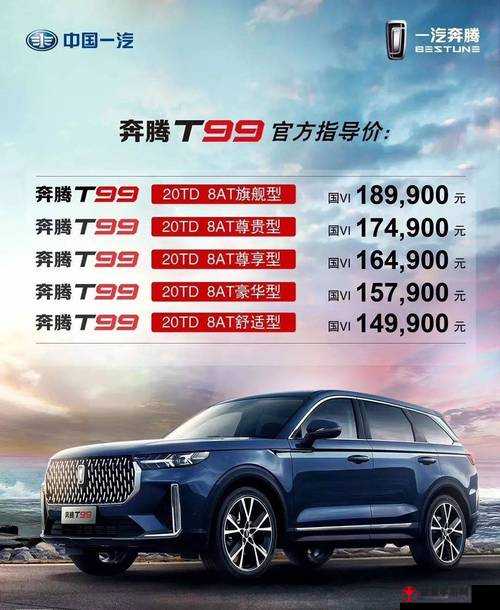 497799 欧洲版的国产 SUV：性能卓越之选