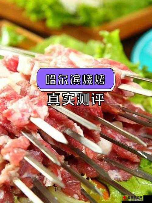 肉食教师食取报告 3HD：独特视角解读