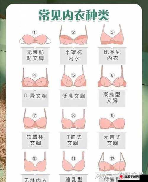 开襟乳液：女性内衣的时尚选择