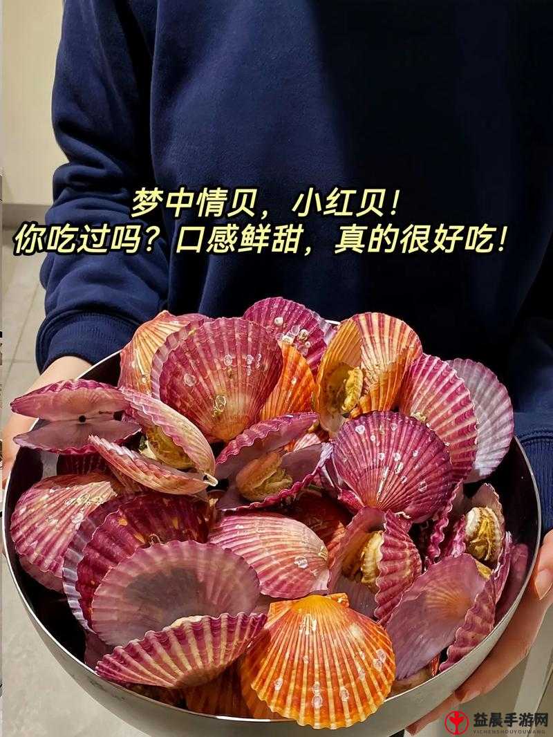 这是我的小扇贝好看吗：你觉得如何