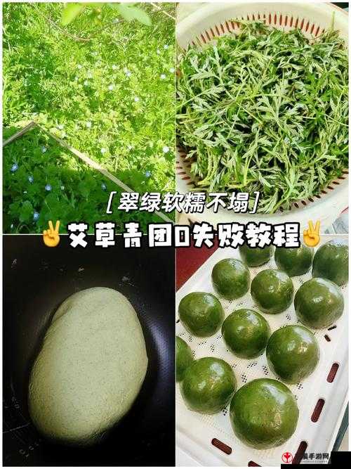 揭秘清明美食青团绿色来源之谜：最初的颜色灵感竟来自自然之精髓