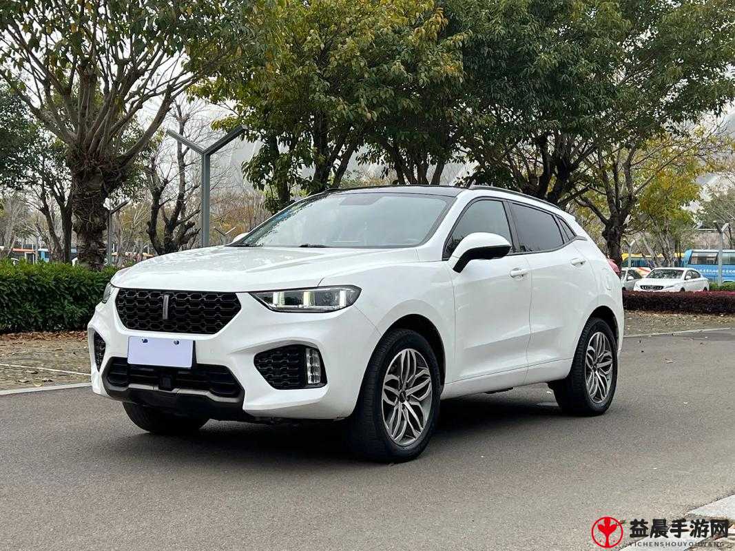 weyvv5 国产的 suv 视频展示：魅力呈现