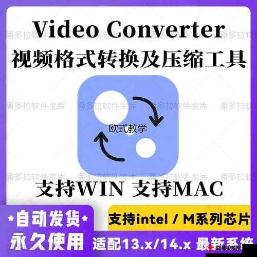 movavi video converter mac 强大视频转换工具