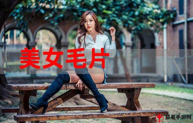 成人毛片 18 女人毛片软件下载：满足你私密需求