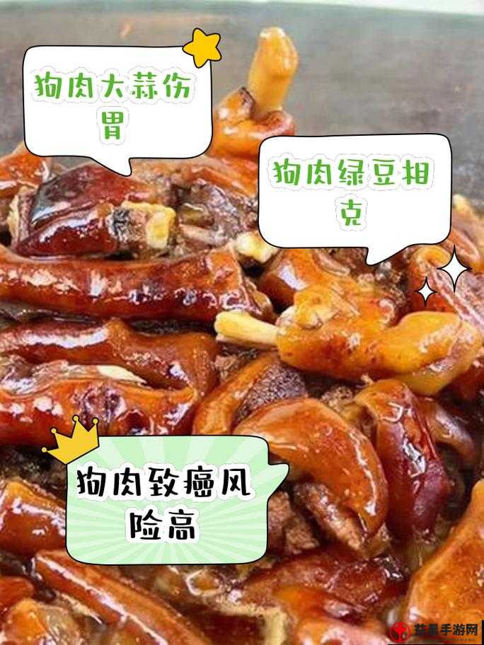 爆炒通感双胞胎小狗：禁忌的美食之旅