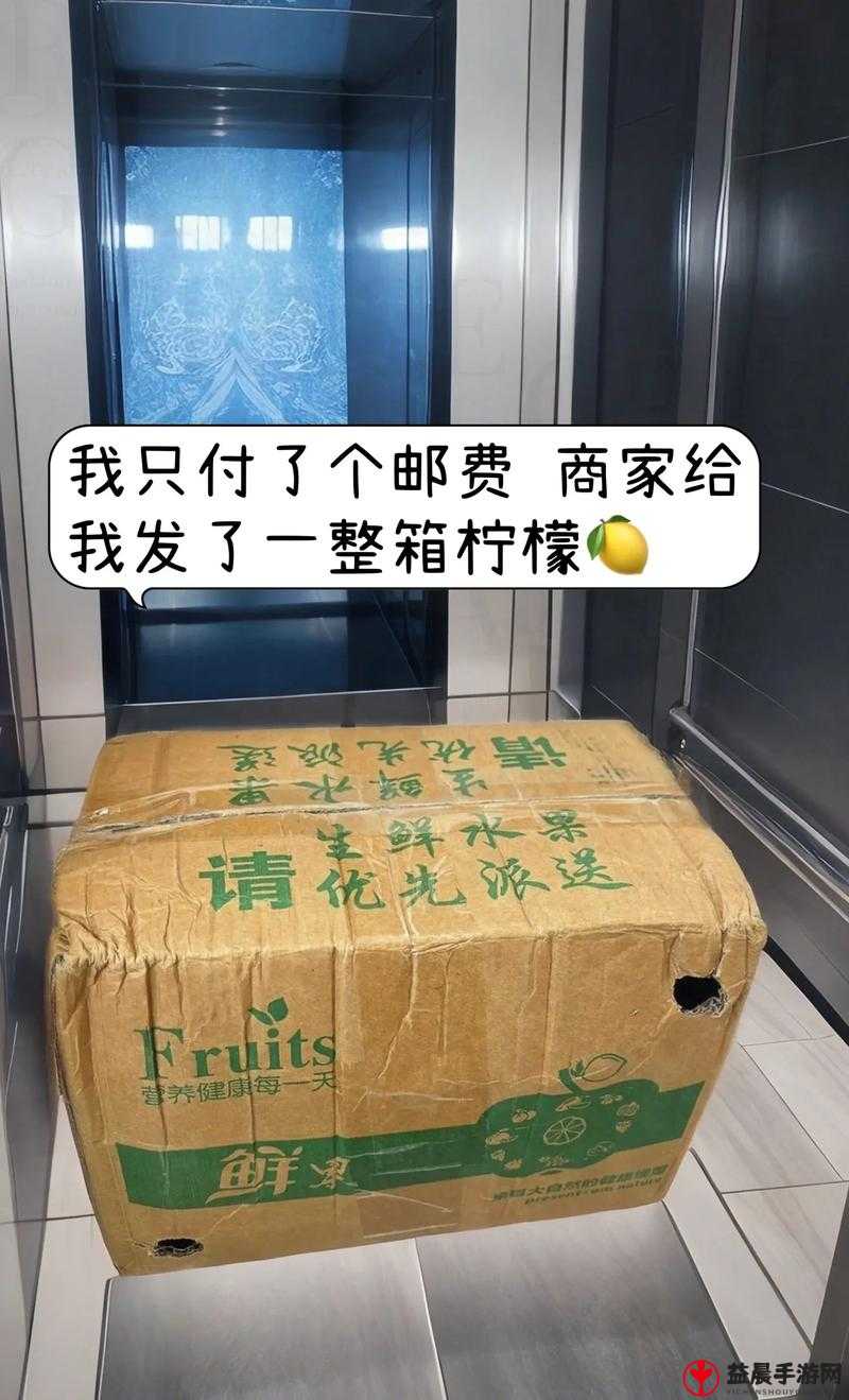 柠檬视频入口线路 3：畅享精彩视频之旅