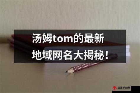 最新地域网名为汤姆 tom：探索未知的世界