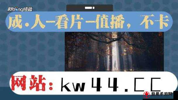 麻豆传煤入口直接进入免费版下载：畅享精彩内容