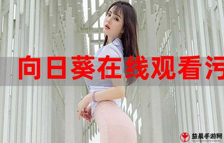 茄子成视频人 app 污：精彩内容等你来