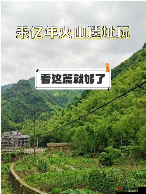 秘密入口 3 秒自动转接连接：独特体验来袭