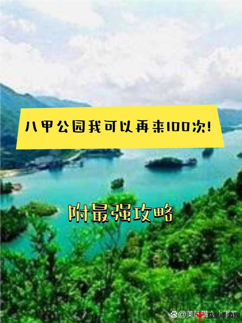 老年公园镖客播放时间多久：精确时长揭晓