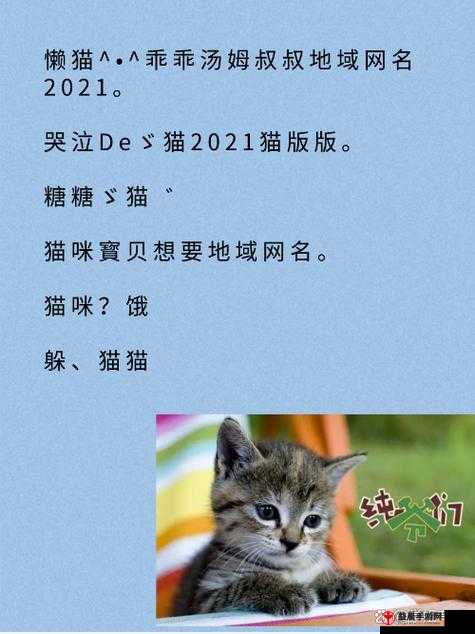 新版猫咪永久地域网名：猫次元的奇幻世界