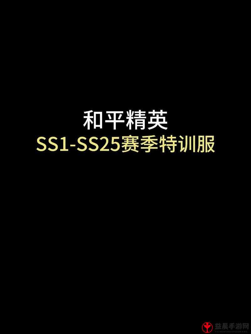 音速出击接力模式操作技巧攻略大全：掌握精英玩家专属策略技巧