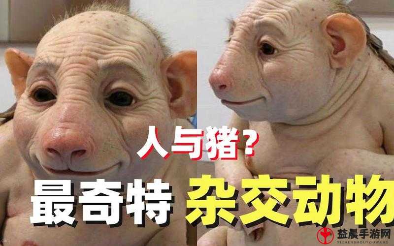 欧美奇特：人禽 Zozo 动物杂交现象