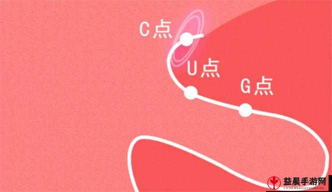 自 W 到高 C 的 25 种图：独特视角与深度解析