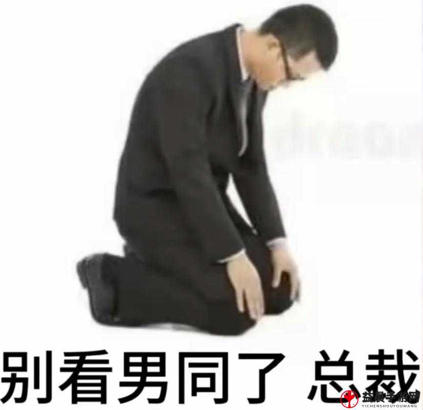 别顶了视频：别再顶了