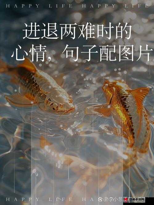 在黑暗与光明的抉择中，究竟该何去何从