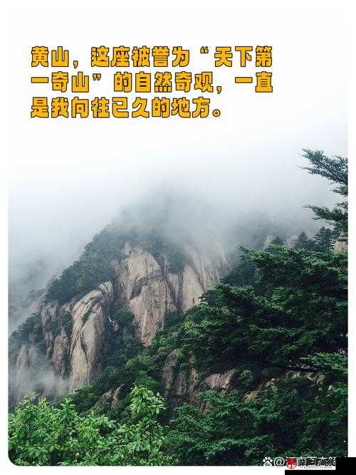 丰裕纵满 2588 全新震撼：开启震撼之旅