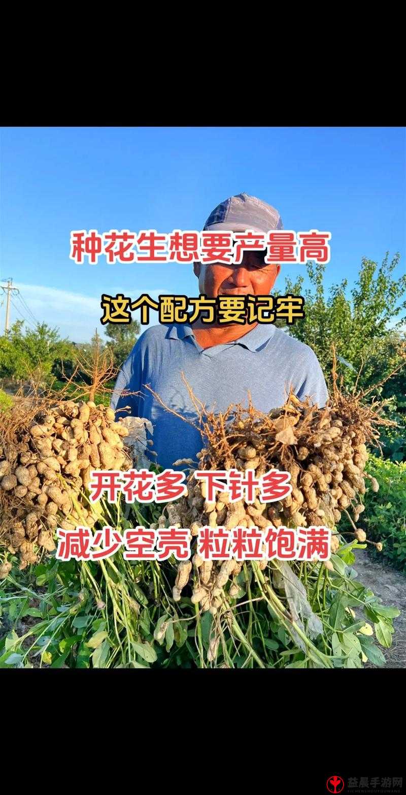 逃离王塔全收集攻略：羞辱2丹沃尔日逃脱记