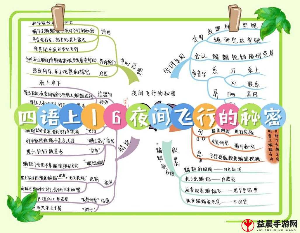 最强蜗牛蝙蝠防护罩的秘密 全面解析如何成功击破它获取胜利