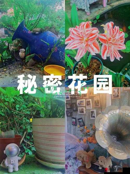 大手往哪秘密花园探去：探索未知的神秘领域