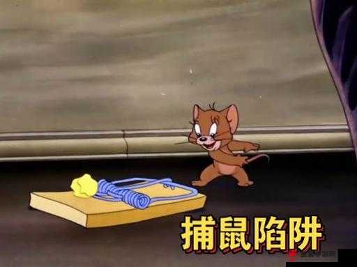 脑洞大开：猫和老鼠的解谜冒险